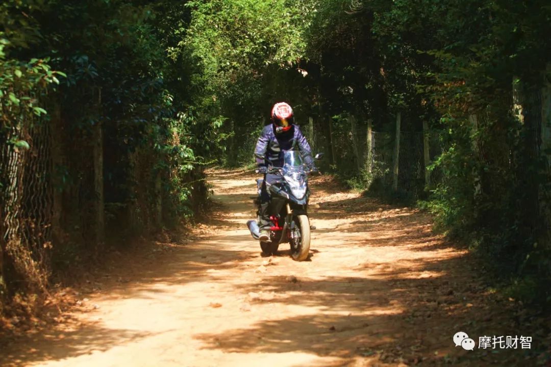 大阳天昴200-8现在价格,大阳天昴200拉力官方价格