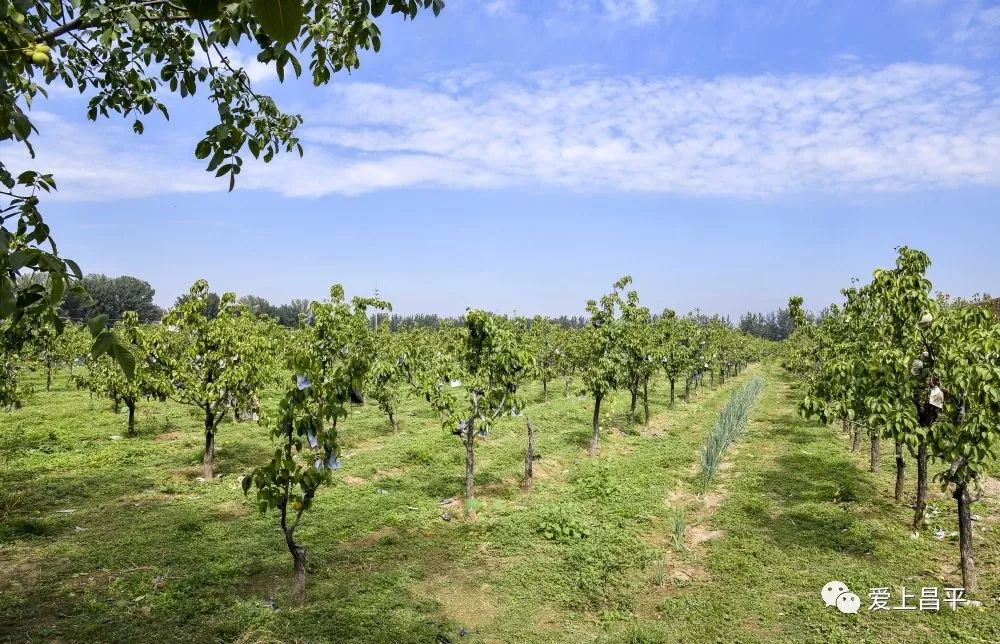 抓住五一尾巴农家乐推荐,抓住假期的小尾巴隐居民宿
