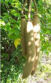 雕琢时光美容美体抖音团购,雕琢时光美容美体