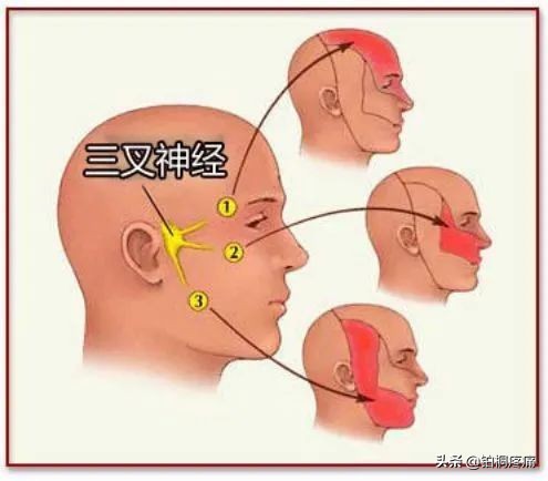 身体再疼也要忍着,哪些病症需看疼痛科