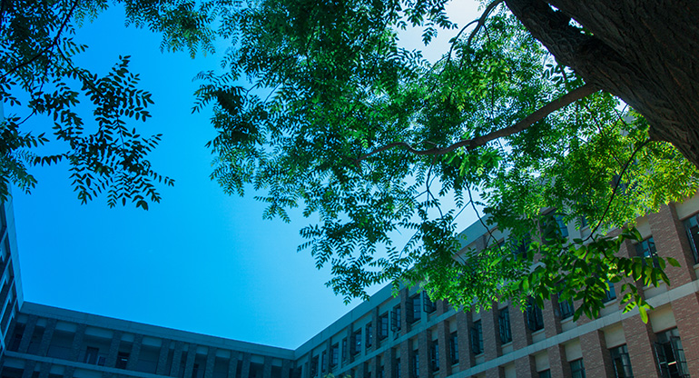 郑州二类民办初中学校,郑州一八联合国际学校