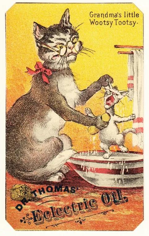 为什么古早广告会出现猫,为何古早广告中经常出现猫