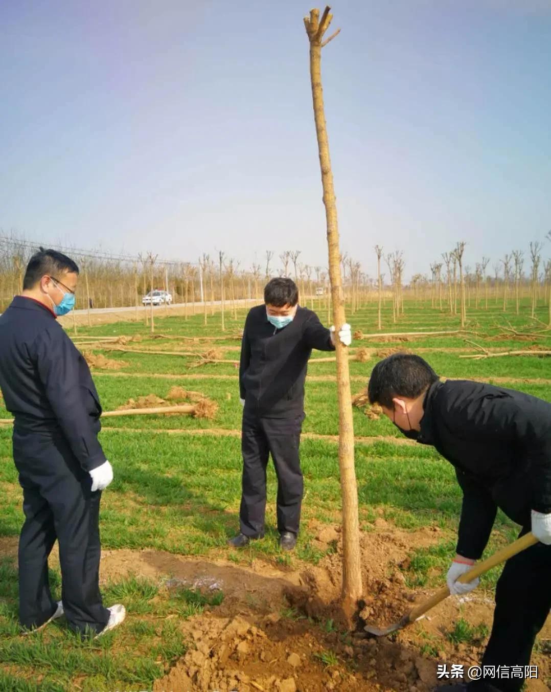 做战友们最坚实的后盾——高阳县公安局警务保障室战“疫”记