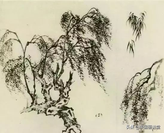 缠枝、挺杆、屈节、钮裂、一棵树如何画？看了这篇你绝对能学会