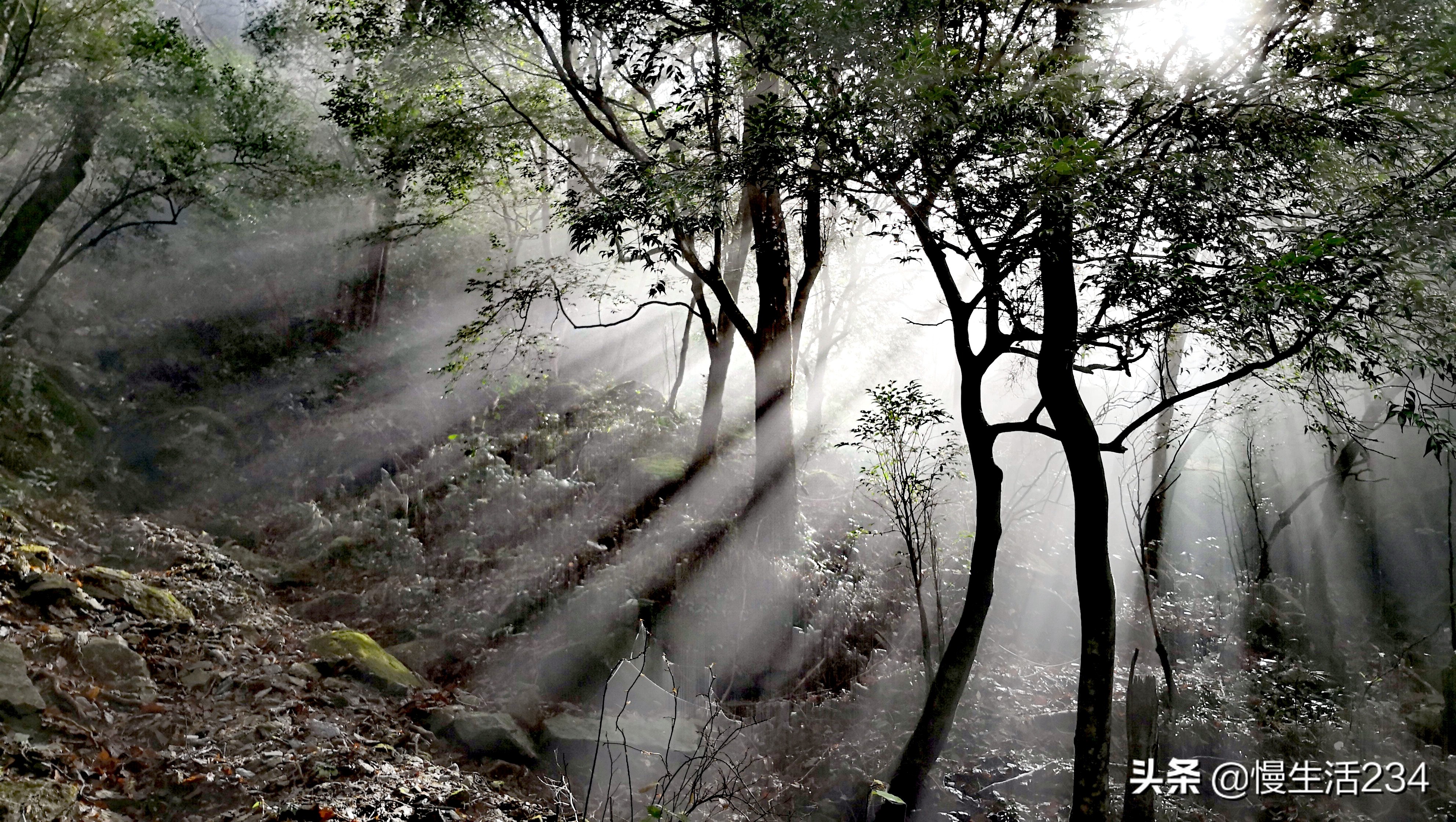 武功山有哪些山峰,江西最高山峰是武功山吗