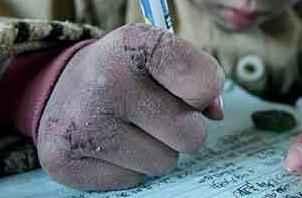 猫咪冬天保暖被,猫咪被冻着了该怎么办呀