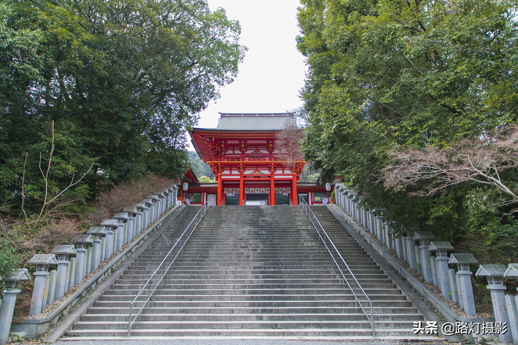 2020日本赏樱花路线,赏樱季去日本看全球最美樱花