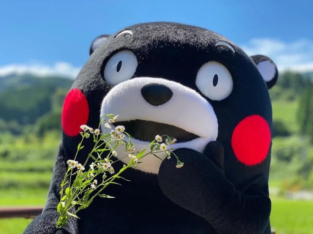 145小个子店铺推荐平价,145-150小个子店铺推荐平价