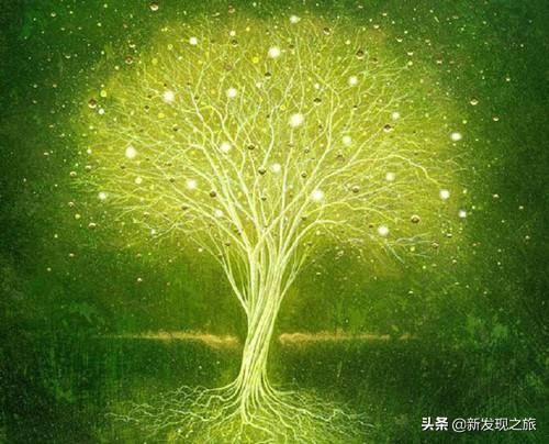 世上真的有长生不老液吗,世界上真的有长生不老仙丹