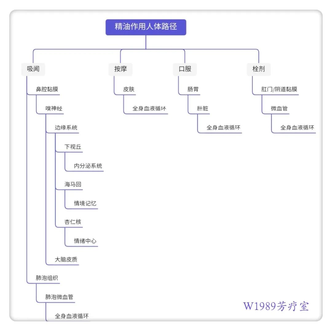 芳疗科普|精油的常见使用方法
