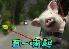 五一节表情包动态图片,五一劳动节表情包动态图片