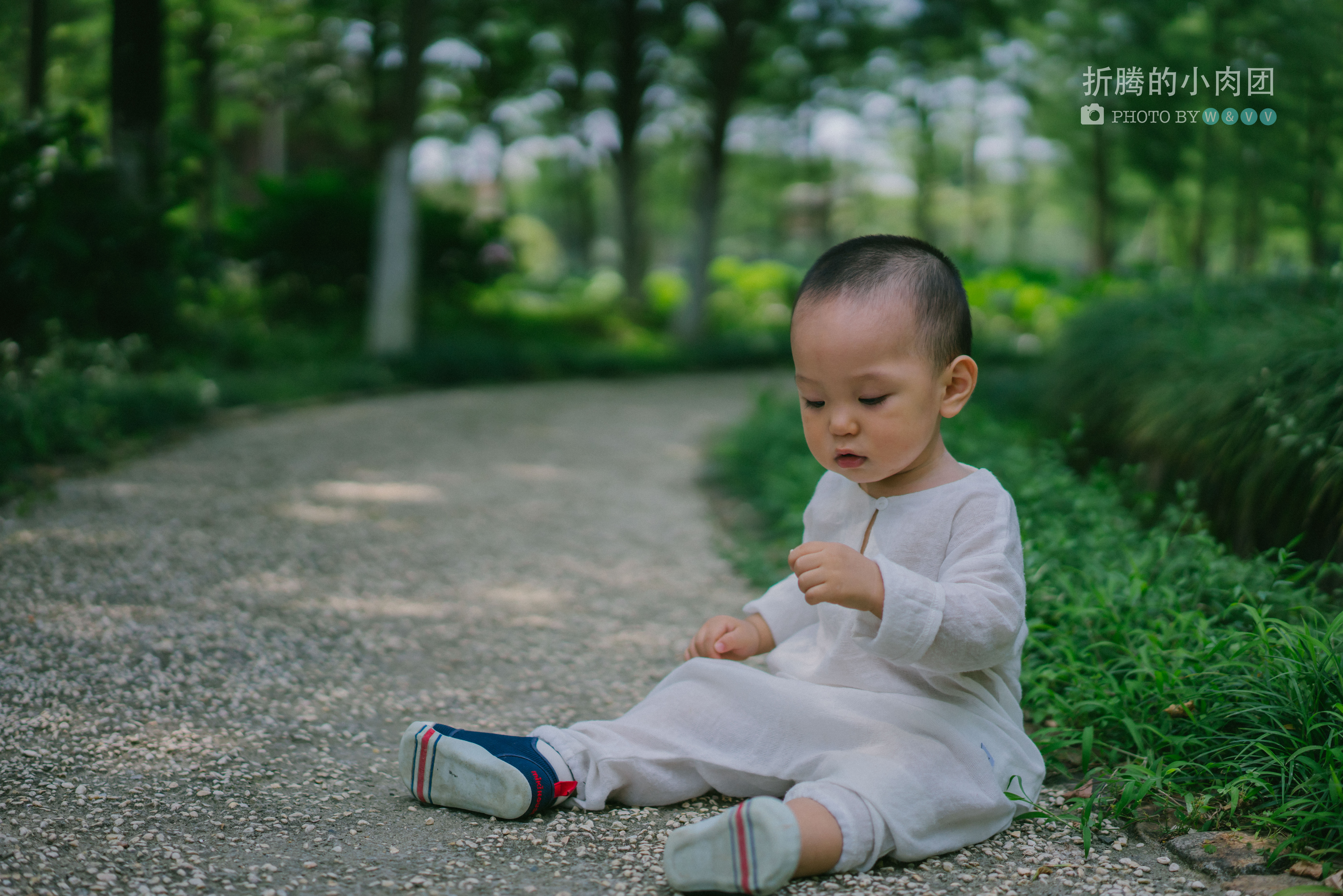 乌村亲子游全攻略,乌村亲子游攻略