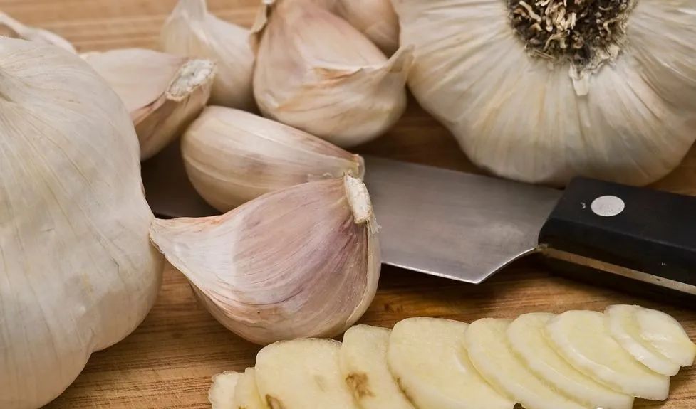 大蒜能钓鱼吗效果怎么样,大蒜避小杂鱼钓鲫鱼绝招