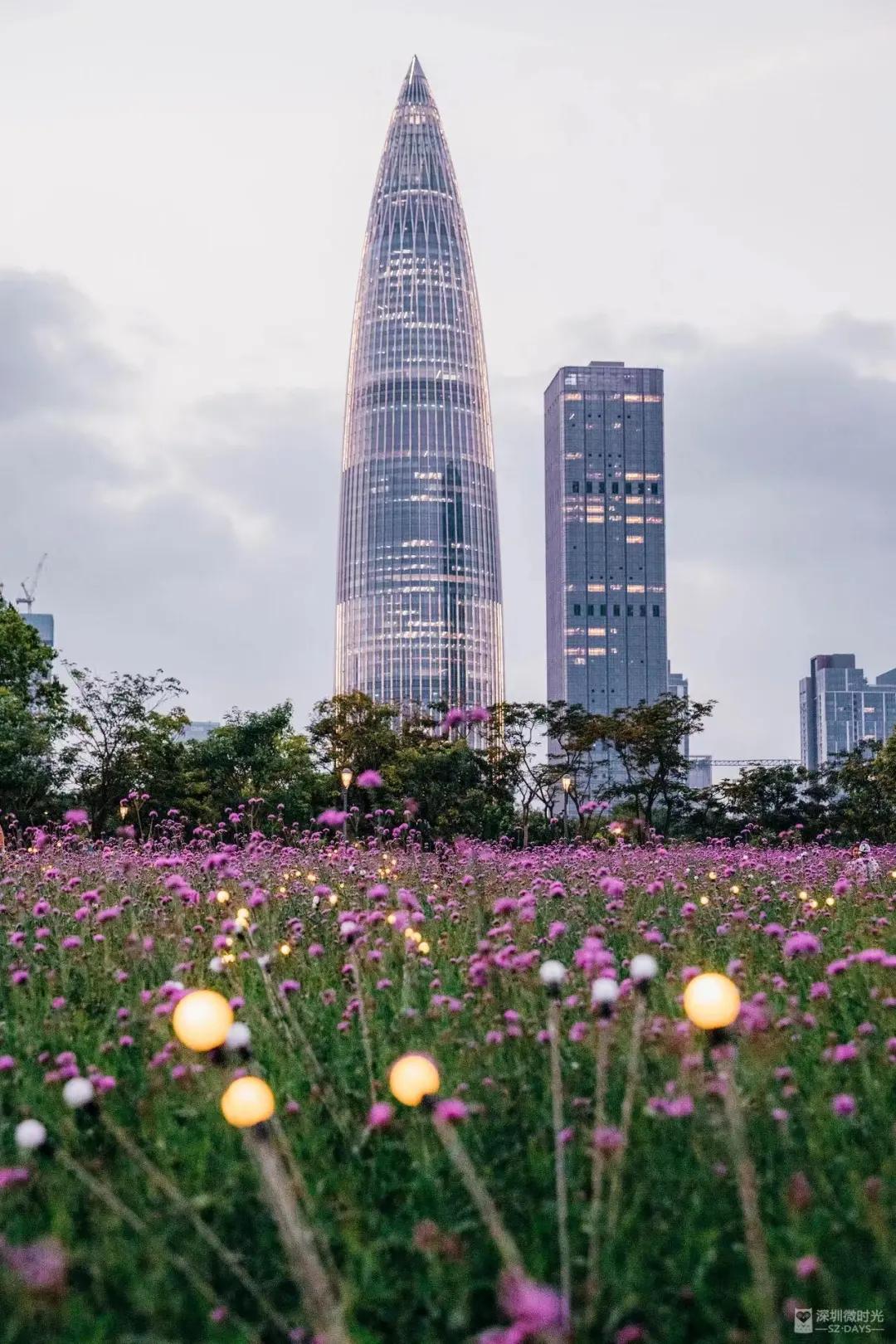 真实的深圳打工的生活,深圳40岁底层人民真实生活