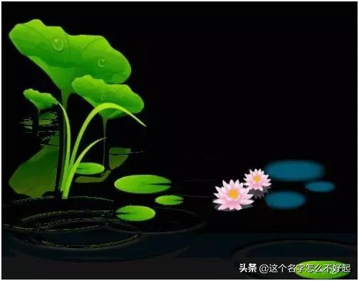 参加葬礼应注意哪些事项,参加葬礼一定要注意这些事项