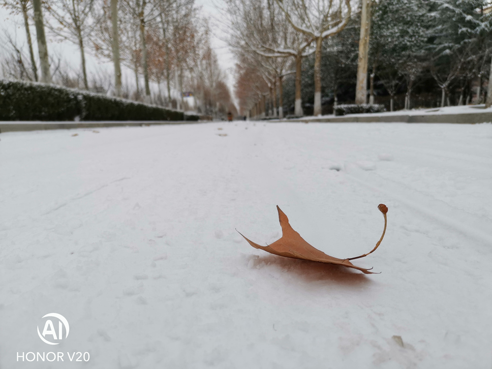 荣耀v20为什么是科技标杆,科技标杆荣耀v20