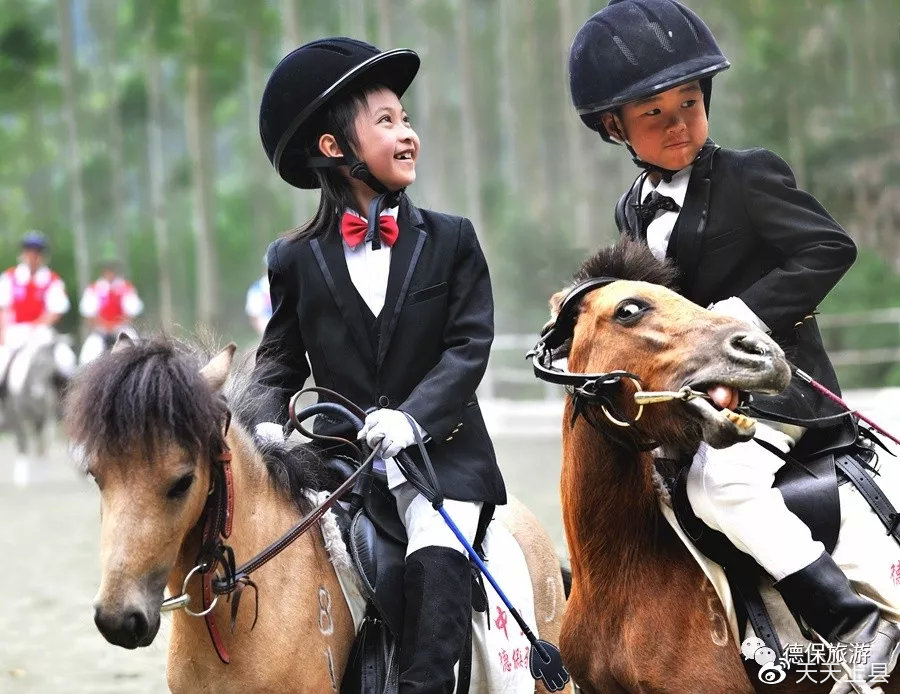 广西枫叶林观赏季节,广西赏枫叶的地方