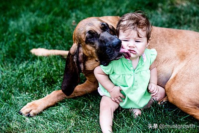 心中有佛所见皆佛是什么意思,心中有佛所见皆是佛是谁说的