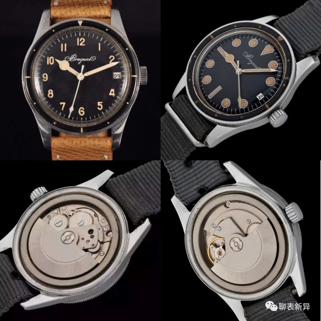 百里鸽是什么鸽,百里鸽是什么鸽图片