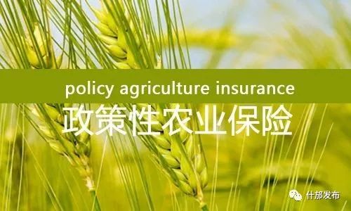 什邡社保新政策2019,农民朋友交农业保险费