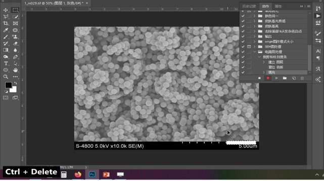 photoshop怎么给扫描电镜做标尺,用photoshop处理电镜图
