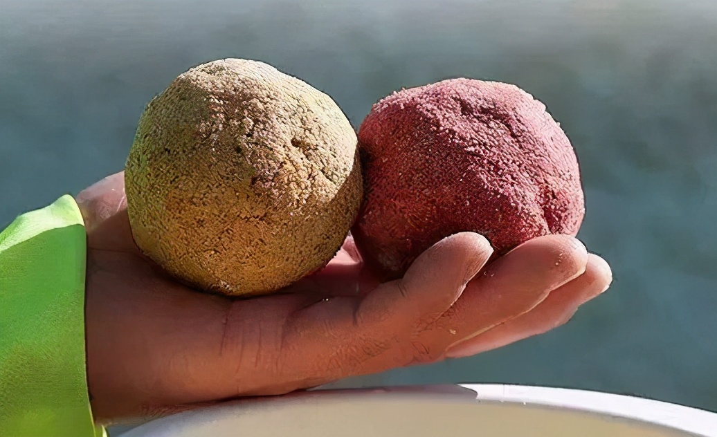 冬季野钓鲫鱼虾粉使用方法与用量,冬天野钓鲫鱼饵料加虾粉好用吗