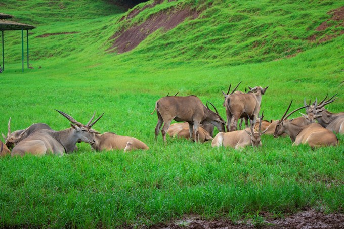 儿童亲子游怎么玩,室内亲子游必玩100例