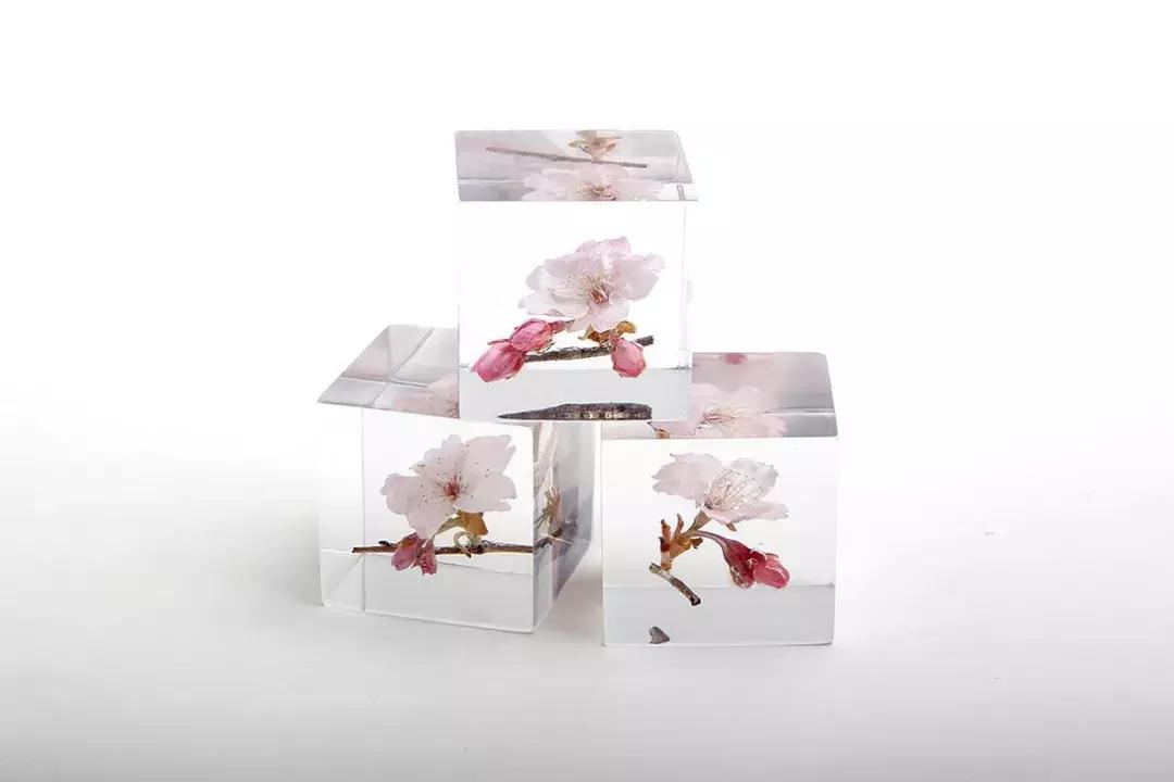 七夕送花送什么花是最有创意的,七夕送花送什么花才好看才浪漫