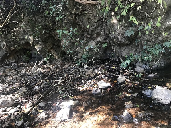 鑺掑競鍜岃吘鍐茬憺涓藉摢涓ソ,鑵惧啿鐟炰附鑺掑競瑗垮弻鐗堢撼