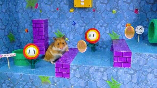 2亿*放播**量的“仓鼠走迷宫”，成了YouTube上的财富密码