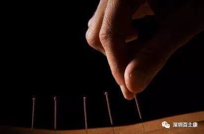 国际筋膜三大流派,国际筋膜学高峰论坛