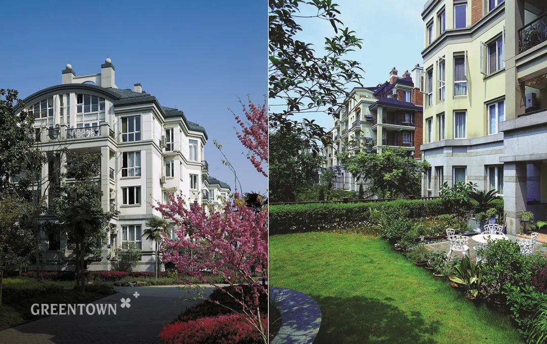 知乎绿城丨阳台之上