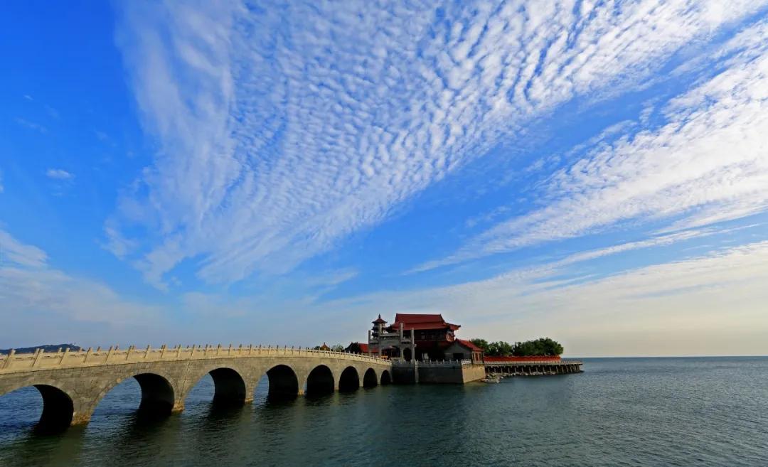 悦读者合集,悦读者交友