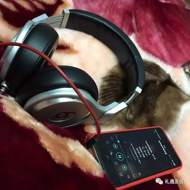 煲机，你知道如何操作吗？为您准了天籁之音煲机音乐免费送