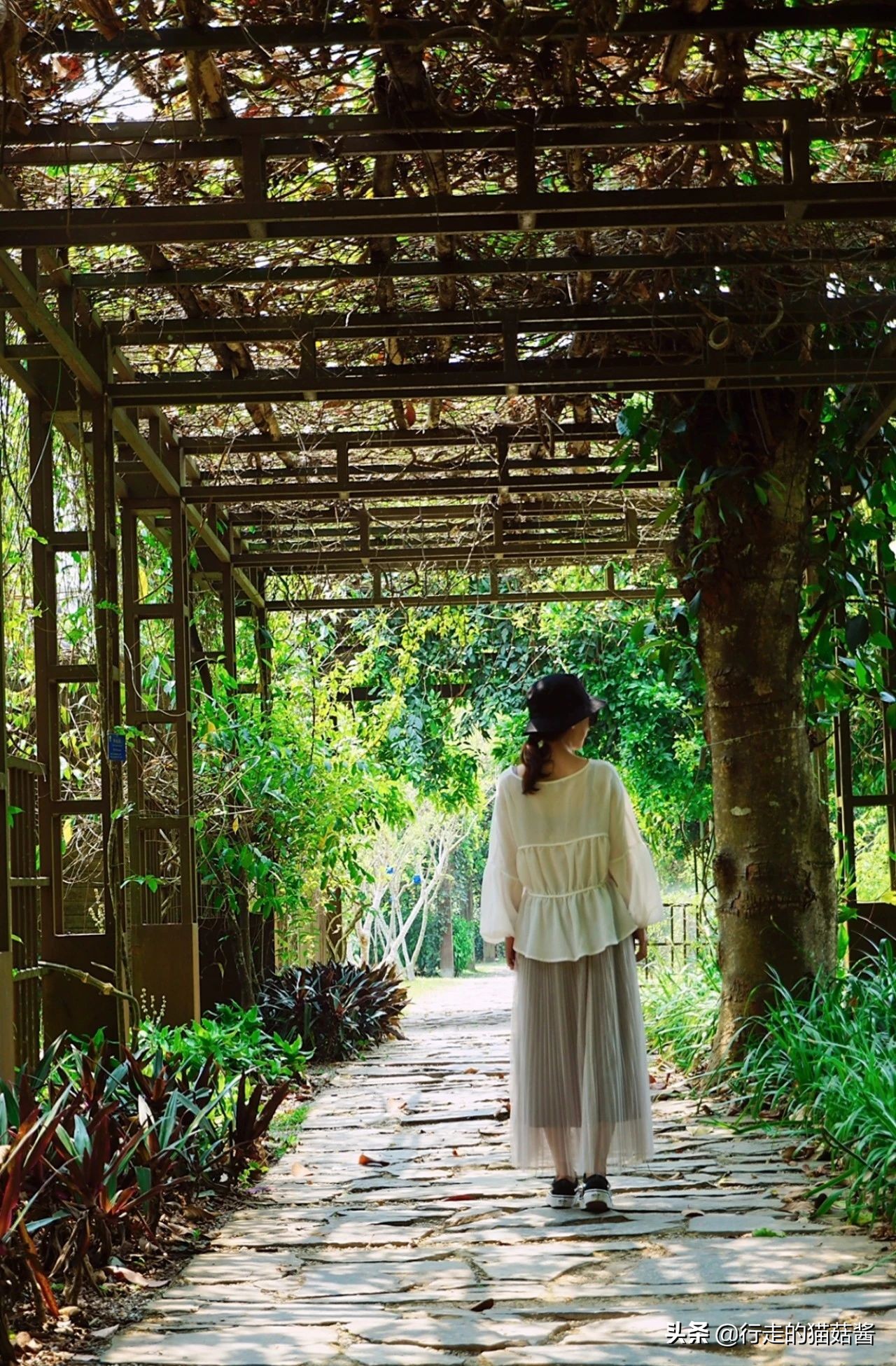 三刷一个城市是什么样的体验,西双版纳最好的边境小城