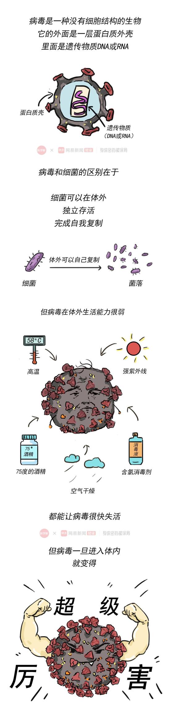 为什么目前没有杀灭病毒的特效药,为什么病毒感染无药根治