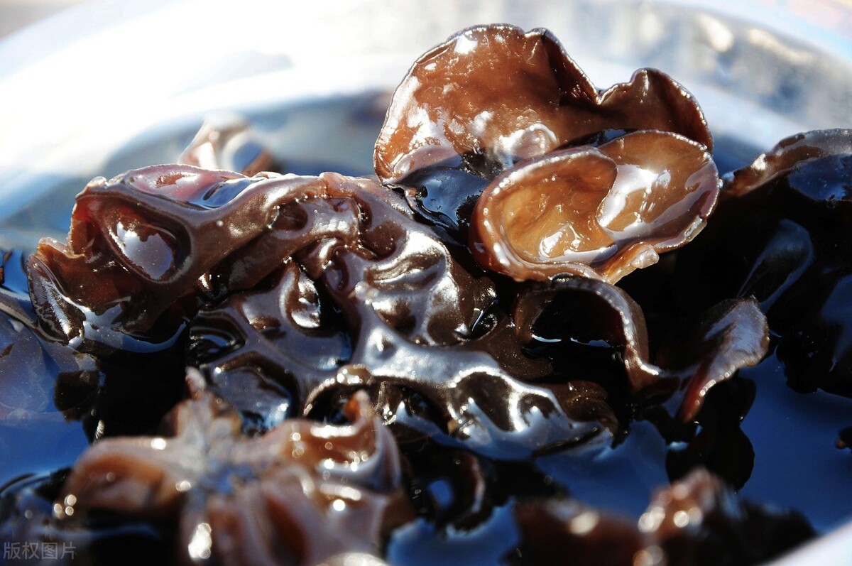 快速泡开黑木耳的正确做法,泡好的黑木耳怎么做没毒还新鲜