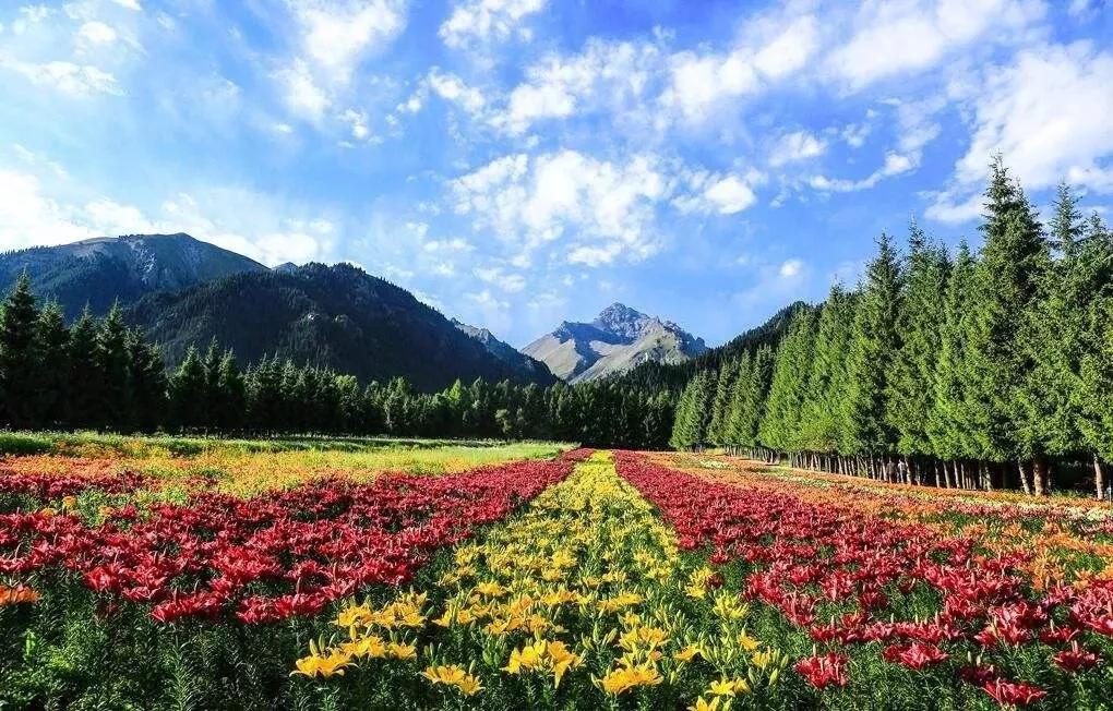 塔城最好旅游季节,塔城好去处