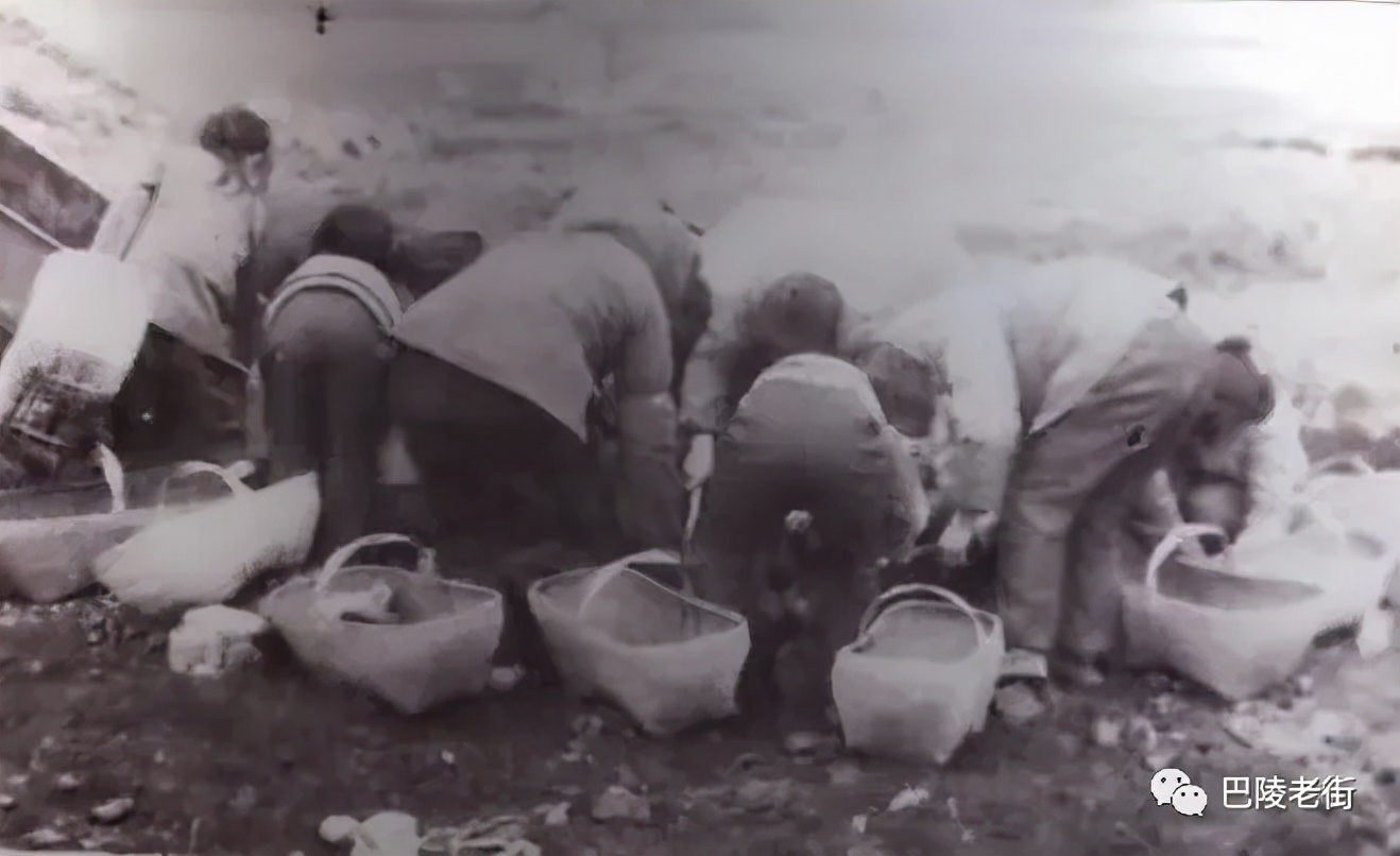 捡煤炭的孩子,捡煤渣的小孩图片