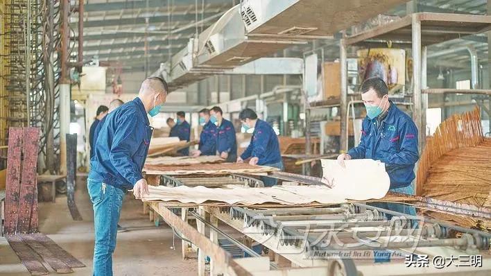 中国绿都最氧三明香飘四海,中国绿都最氧三明四季行主题活动