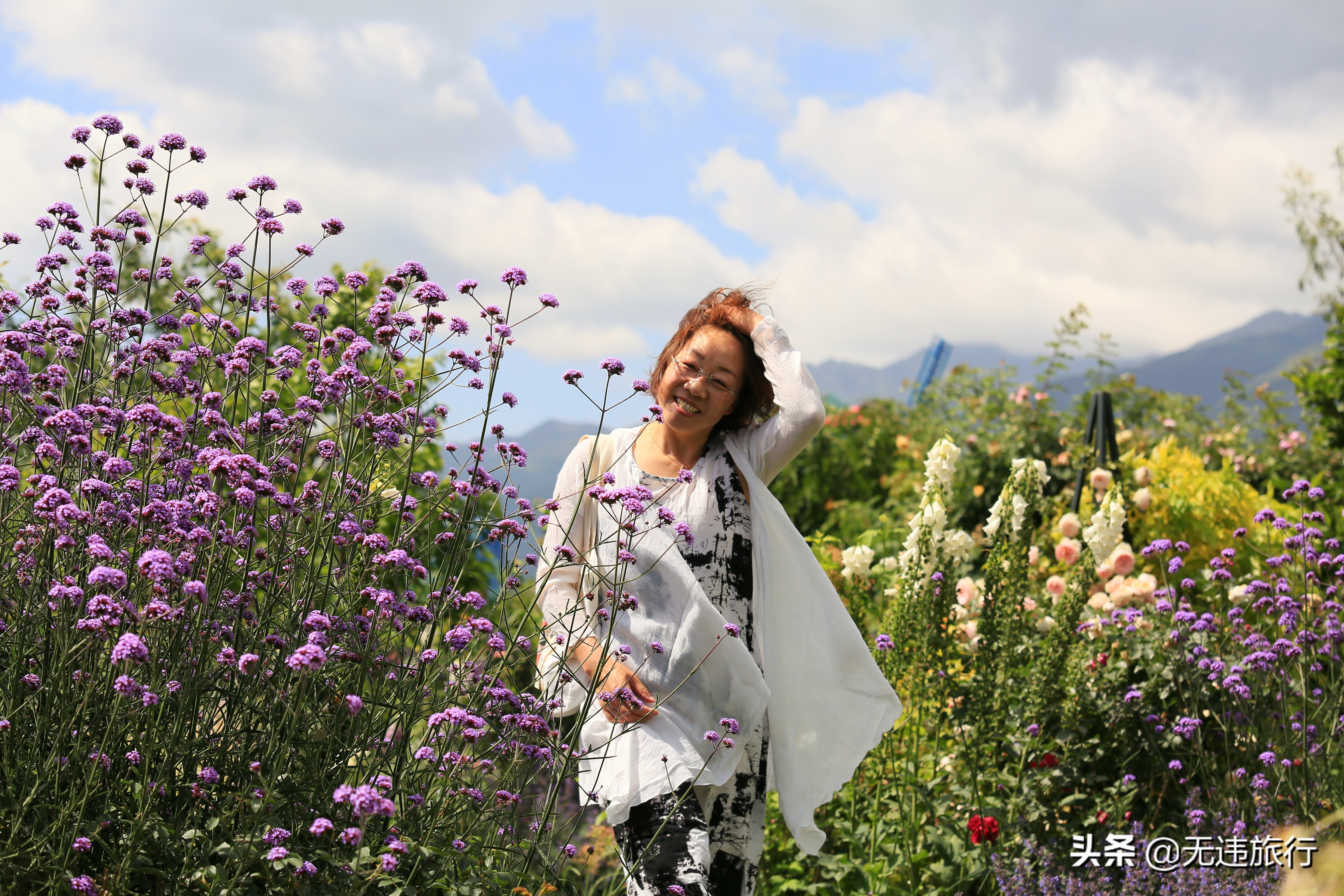 大理网红打卡地草场,大理网红打卡地猫米花园