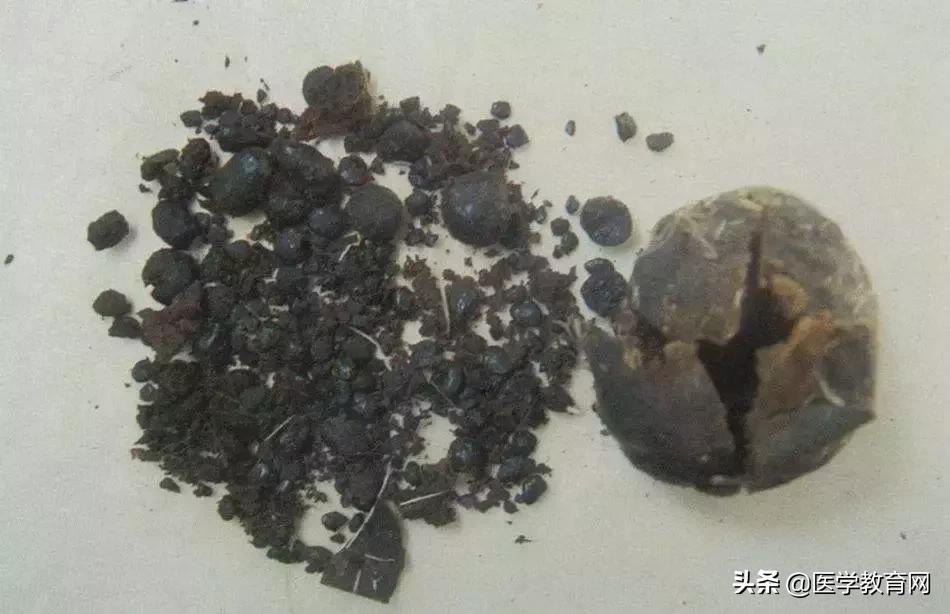 分辨真假阿胶视频教程,鉴别人参真假