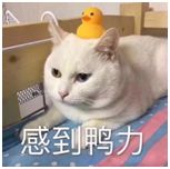 彩钻里的宇宙......