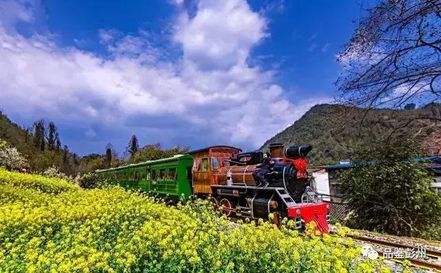 五朵金花组团出战,五朵金花齐聚的时候