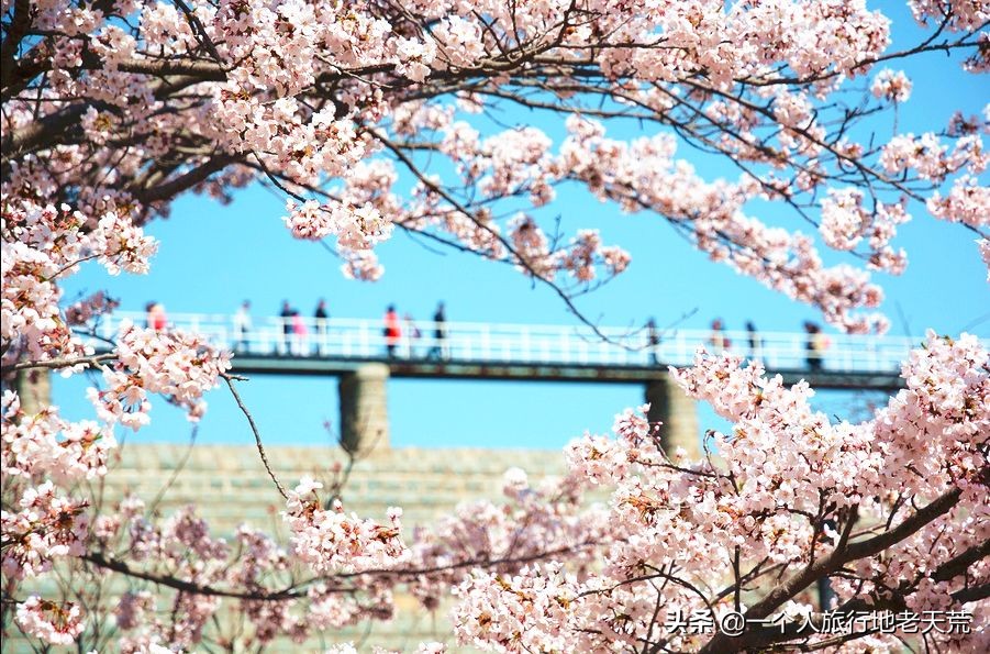 厦门海滨老城旅游,厦门最美海滨城