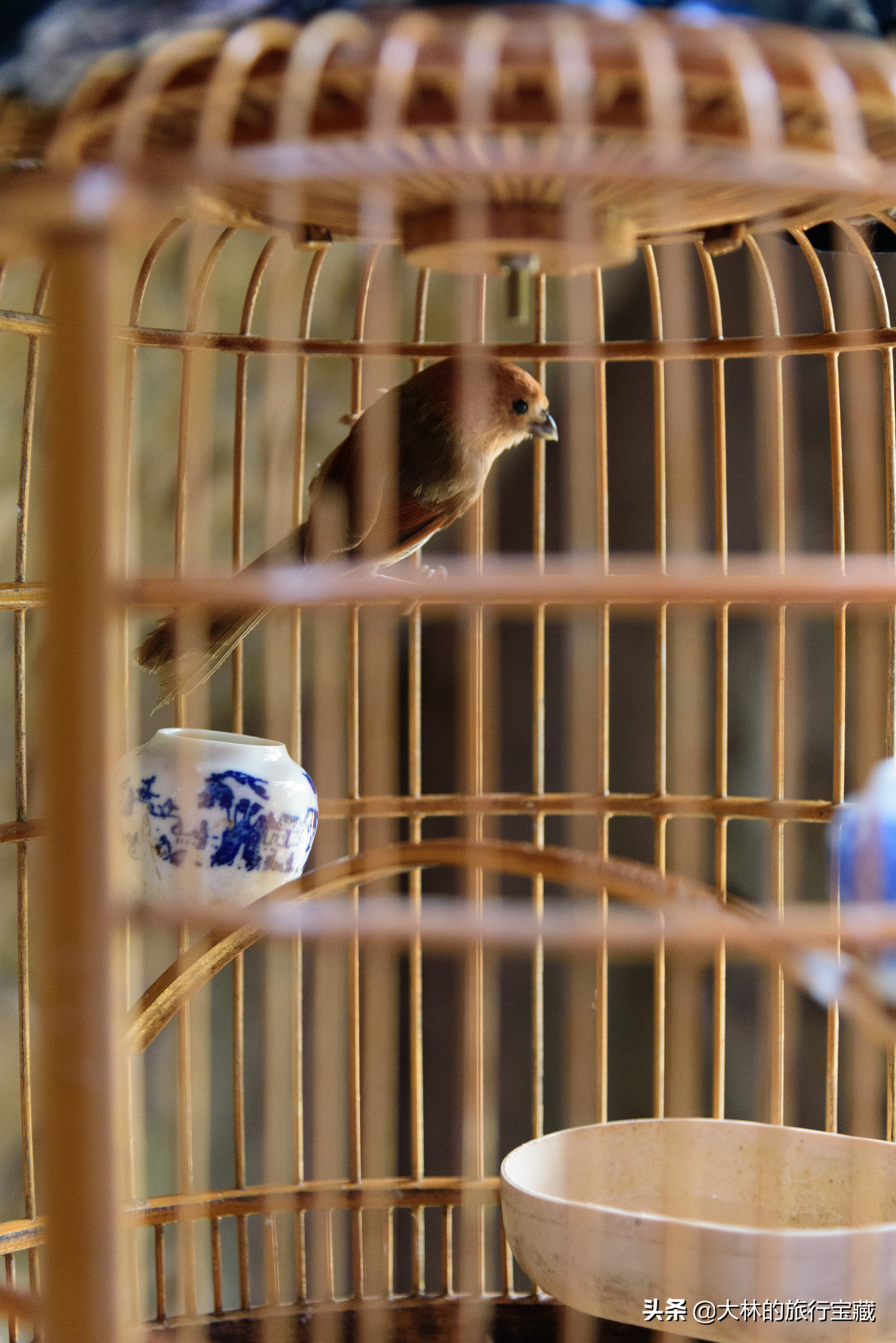 中国第一民俗村,民俗第一村在哪里