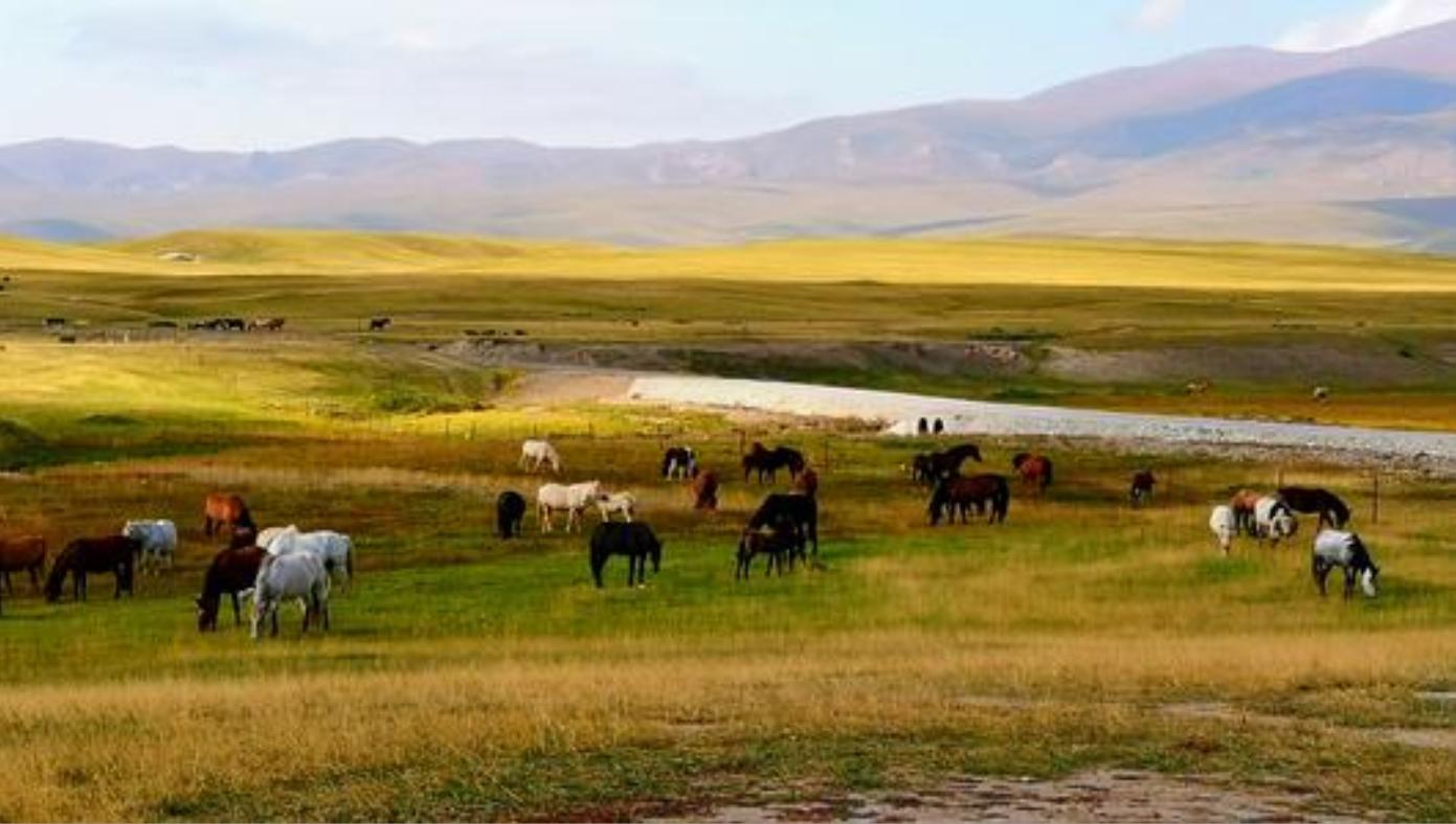 和静县乌拉斯台天鹅,新疆天鹅湖畔美丽风光