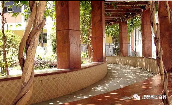 成都高新大源学校初中排名,高新区大源片区学校排名