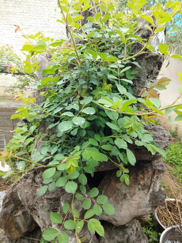 码头装卸招工是不是很辛苦,附近码头装卸工