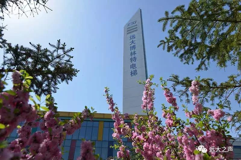 【魅力远大】远大之美